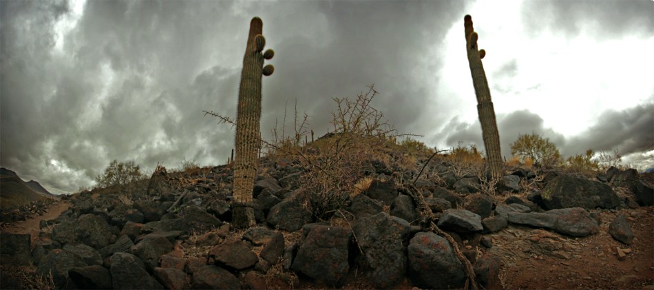 DeemHillsPanoramaResized